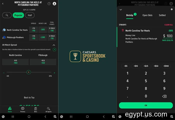 cf68-app-ca-cuoc-choi-ngay-95